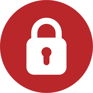Privacy icon_tiny